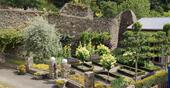 Foto - andere in Bernkastel-Kues zur Miete