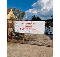 800 m² Freifläche in Wernigerode zu Vermieten