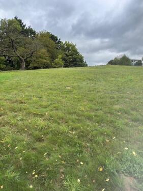 Foto - Schön gelegene Wiese in MündenVolkmarshausen