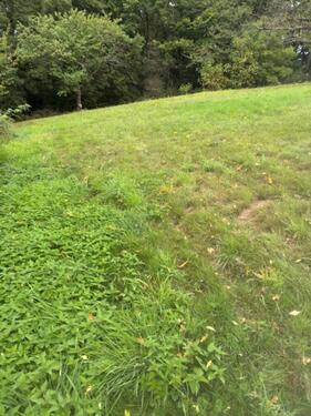 Foto - Grundstück zur Miete in Hann. Münden