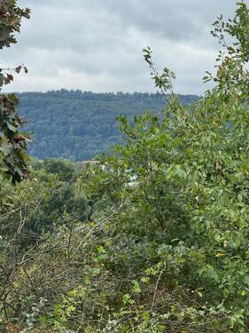 Foto - Grundstück in Hann. Münden