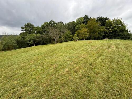 Foto - Grundstück in Hann. Münden zur Miete