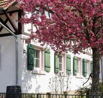 Charmante Ferienwohnung Lahr Schwarzwald Region Europapark - Lahr (Schwarzwald)