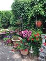 Foto - 5 Zimmer Einfamilienhaus in Halle (Saale)