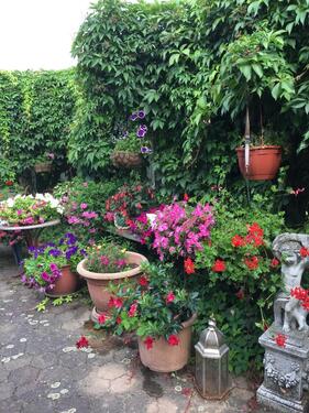 Foto - 5 Zimmer Einfamilienhaus in Halle (Saale)