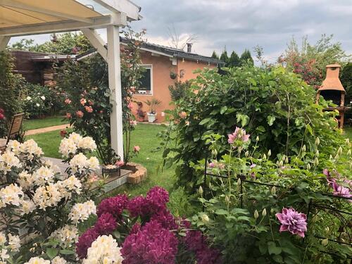 Foto - Einfamilienhaus zum Kaufen in Nidda
