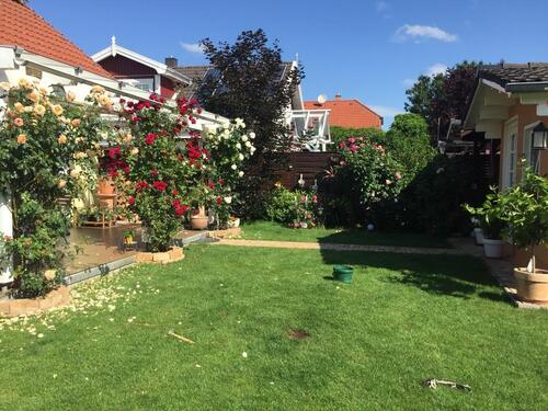 Foto - Einfamilienhaus in Nidda