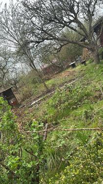 Foto - Grundstück in Wilhelmshaven