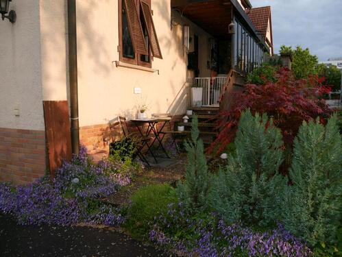 Foto - Einfamilienhaus in Sindelfingen