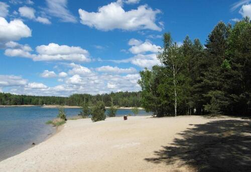 Foto - 4 Zimmer Einfamilienhaus in Dresden