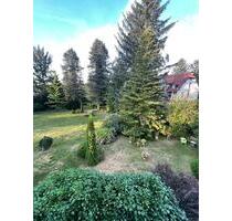 Wohnung mit Garten - 800,00&nbsp;EUR Kaltmiete, ca.&nbsp; 105,00&nbsp;m&sup2; in Bad Bevensen (PLZ: 29549)
