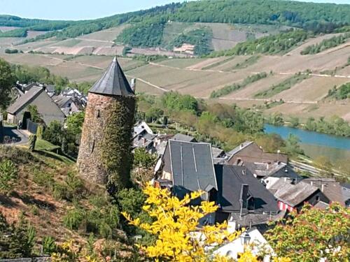 Foto - Ferienwohnung Mosel auch mit Hund