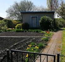 Pachtgarten in Holleben massive Steinlaube Garten - Halle (Saale) Büschdorf