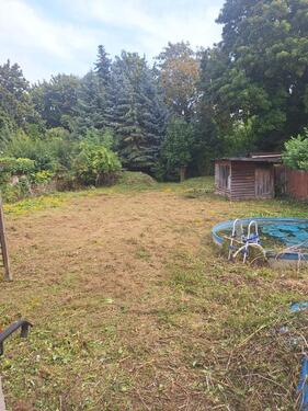 Foto - Einfamilienhaus in Hettstedt zum Kaufen