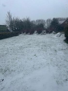 Foto - Einfamilienhaus in Wester-Ohrstedt zum Kaufen