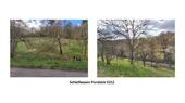 Foto - Streuobstwiese in Geradstetten - 2.100,00&nbsp;EUR Kaltmiete, ca.&nbsp; 0,00&nbsp;m&sup2;
