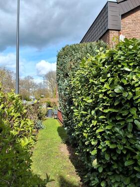 Foto - Reihenhaus in Köln zum Kaufen