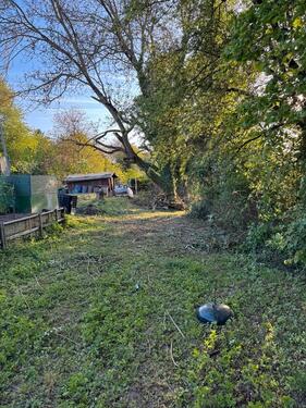 Foto - Garten in Neckarsulm zu vermietenverpachten