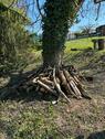 Foto - Grundst&uuml;ck zur Miete in Weinsberg