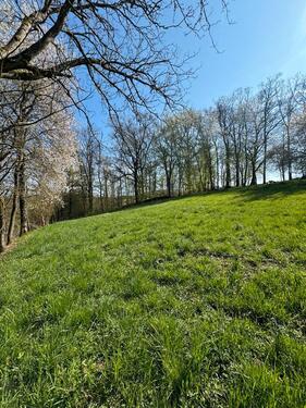 Foto - Freizeitgrundstück mit Panoramablick (in Widdern) zu verpachten