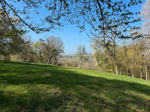 Foto - Grundst&uuml;ck zur Miete in Widdern