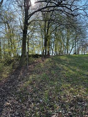 Foto - Grundst&uuml;ck in Widdern