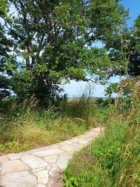 Foto - Ferienhaus direkt am Meer Ostsee für ein Jahr zu vermieten