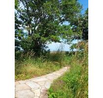 Ferienhaus direkt am Meer Ostsee für ein Jahr zu vermieten - Schönberg (Holstein)