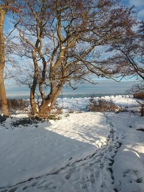 Foto - andere zur Miete in Schönberg (Holstein)