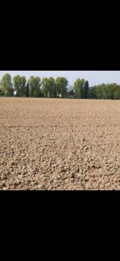 Foto - Ackerfläche - 24,00 EUR Kaltmiete, ca.  0,00 m²