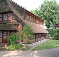 2 Zimmer 81qm EG Wohnung im Reetdachhaus - Toppenstedt