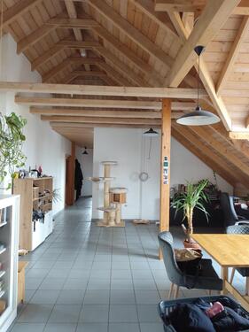 Foto - Penthousewohnung im Grünen - 1.450,00 EUR Kaltmiete,