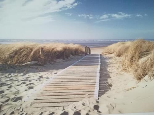 Foto - Bensersiel-Ostfriesland-Nordsee-einmalige Gelegenheit