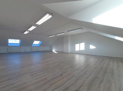 Foto - Attraktive Büroräume sehr zentral – Nähe Rosenaupark zu vermieten