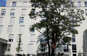 Foto - 1 Zimmer Etagenwohnung zur Miete in Nürnberg