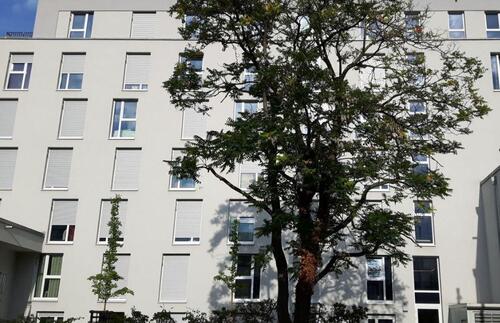 Foto - 1 Zimmer Etagenwohnung zur Miete in Nürnberg