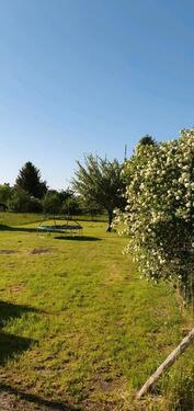 Foto - Garten zu Verpachten Vermietung Gartenland