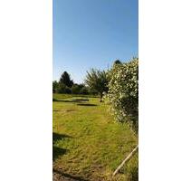 Garten zu Verpachten Vermietung Gartenland - Treuenbrietzen