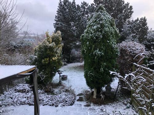 Foto - 5 Zimmer Einfamilienhaus in Duisburg