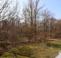 Sofort einziehen und Wohlfühlen: Ruhig und Grün - Chemnitz Altendorf