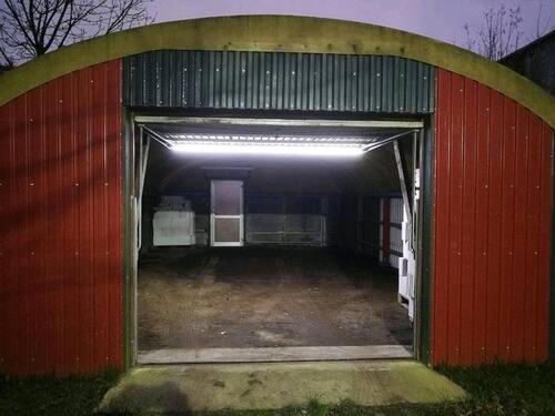 Foto - andere in Hollingstedt