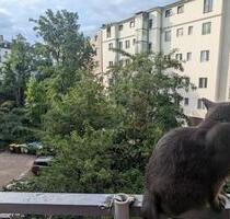 Parkplatz Stellplatz PKW Berlin Friedenau