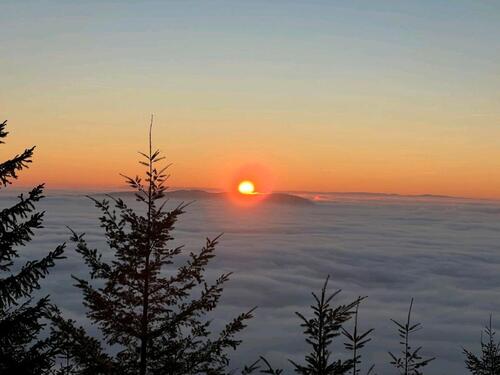 Foto - andere zur Miete in Bühl