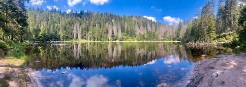 Foto - andere in Bühl zur Miete