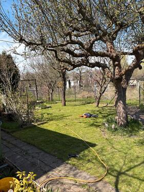 Foto - Grundst&uuml;ck in Eisenhüttenstadt zur Miete