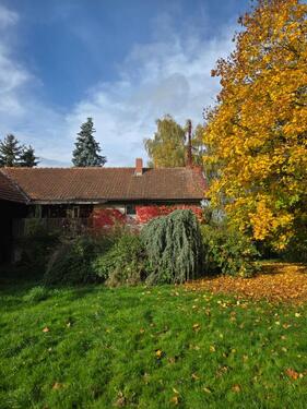 Foto - 4 Zimmer Bauernhaus, Landhaus zum Kaufen in Tann
