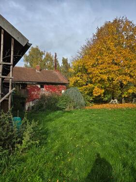 Foto - 4 Zimmer Bauernhaus, Landhaus in Tann