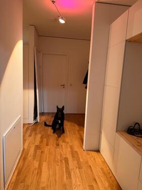 Foto - Etagenwohnung zur Miete in Mainz