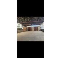 trockene Halle ,Lagerhalle Schrauber Halle - Chemnitz Kapellenberg