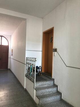 Foto - Etagenwohnung in Zwickau zur Miete